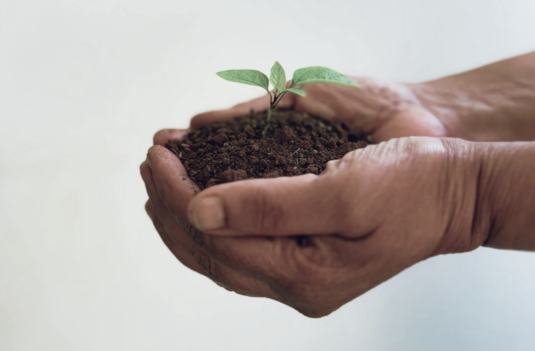 Viozon Designing Out Waste